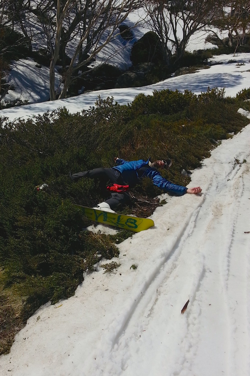 F6758739-F2CC-48D3-A169-6DBF246A380F