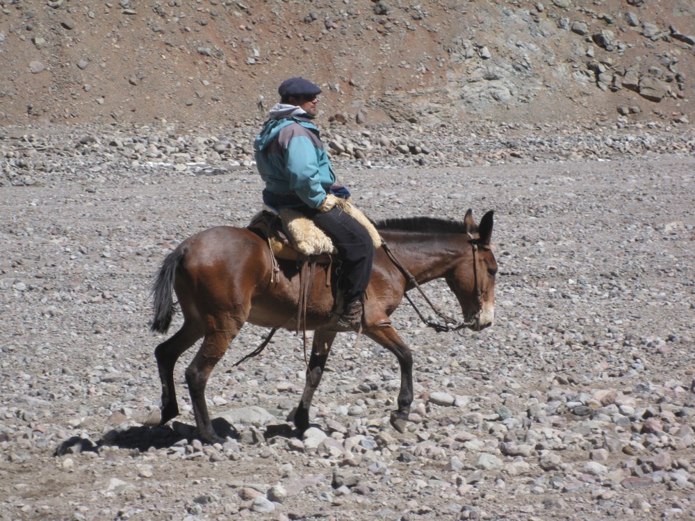 F8CEC52C-9CC6-434B-B62E-9397256D99F9